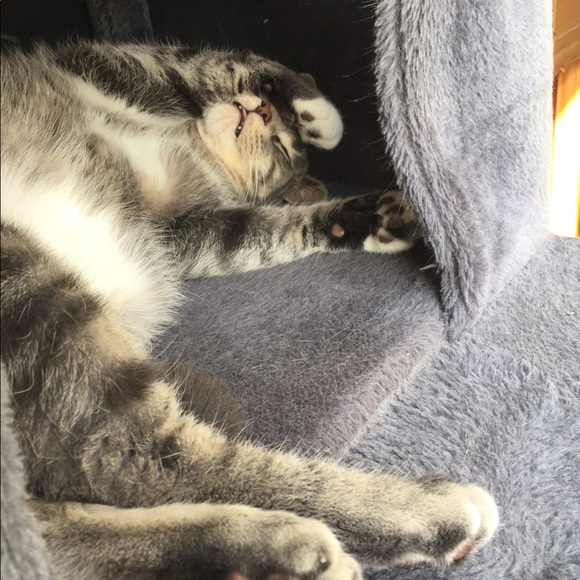 Hi! ๐๐ผIโm Katt. Offers always welcome! ๐ค - Picture 13 of 16